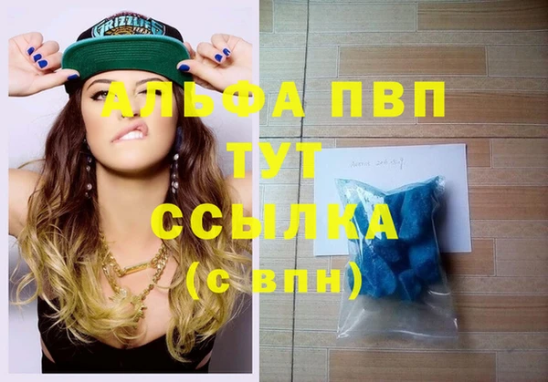 сатива Алзамай