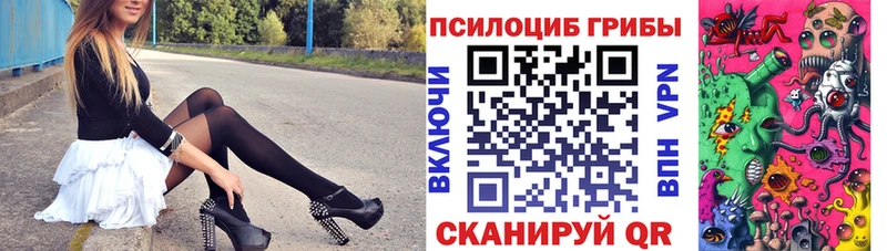 Галлюциногенные грибы мухоморы  наркошоп  Петровск-Забайкальский 